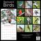 TF Publishing 2024 Backyard Birds Wall Calendar